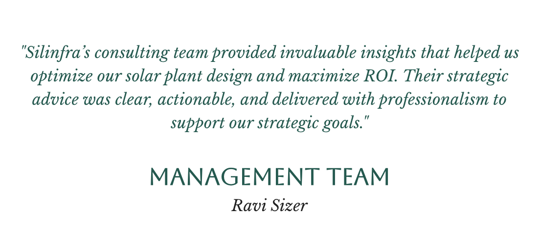 Consulting Services 5 Ravi